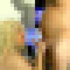 picturefreak