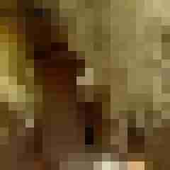 picturefreak