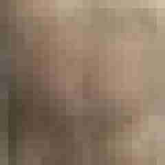 marecovered