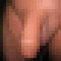cock01