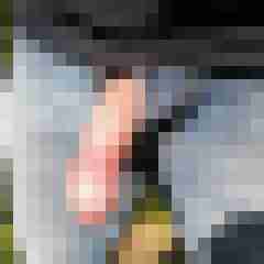 diehesse