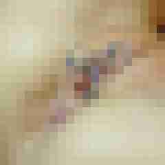 seemann0706