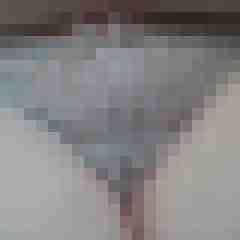 Narwa