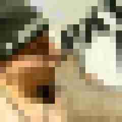 picturefreak