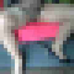 fsh-nylon-dwt