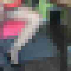 fsh-nylon-dwt