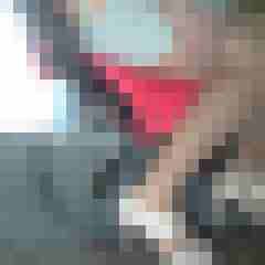 fsh-nylon-dwt