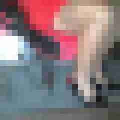 fsh-nylon-dwt