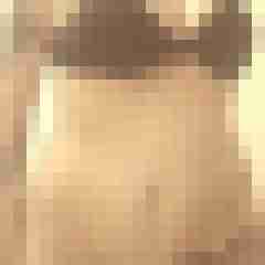 Eule_41