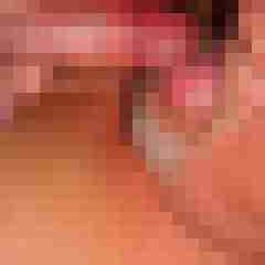 robertbilive