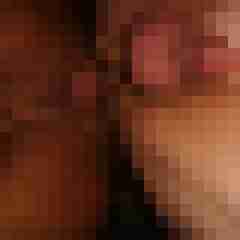 robertbilive