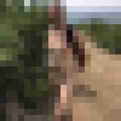 gerrycn