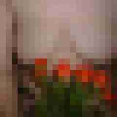suessehex33
