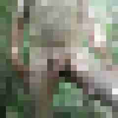 exib1