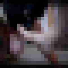 picturefreak