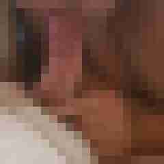 ao_luder666
