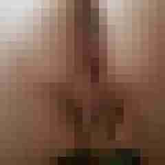 ao_luder666