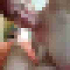 Lieber29