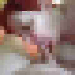 Lieber29