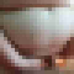 Lieber29