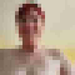 Lieber29