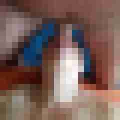 Lieber29