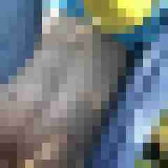 Salen