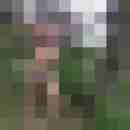 wilmadwt