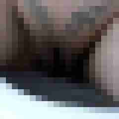 picturefreak