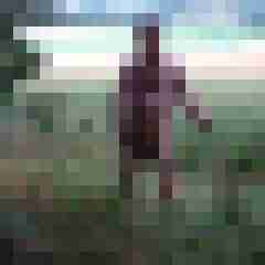 pimperion