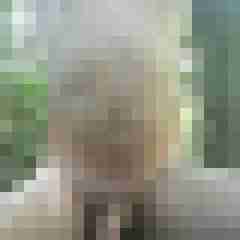 exib1