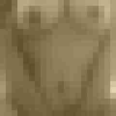 Eule_41
