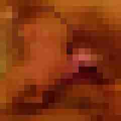Abspritzer91