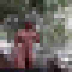 enrico12
