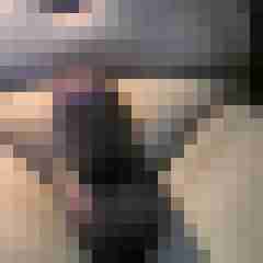 cock01
