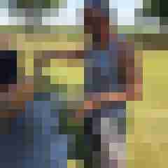 Wern123