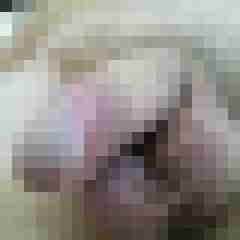 exib1
