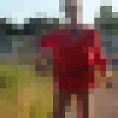 publicstute