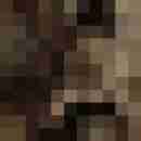Phorus