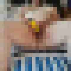 Kisbee