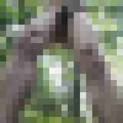 exib1