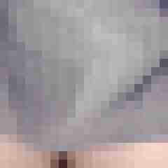 noctolus