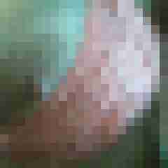 jenny-53