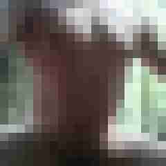 exib1