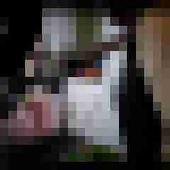 picturefreak