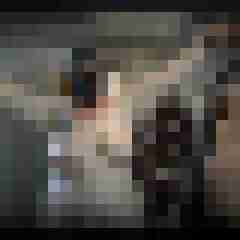picturefreak