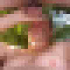 robertbilive