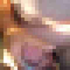 robertbilive