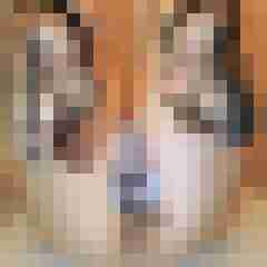 Nylongeiles_Paar