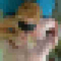 Carlchen